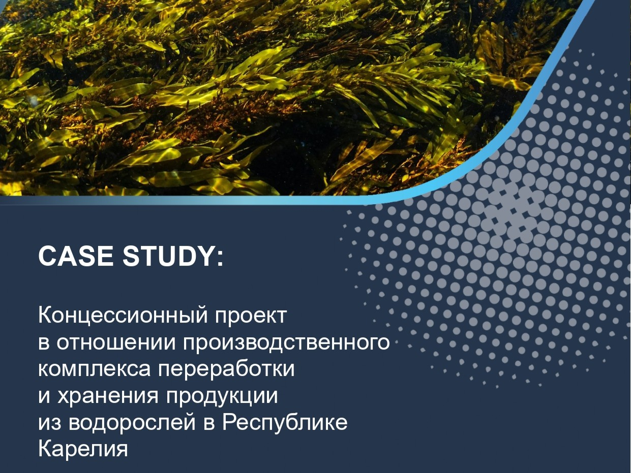Концессионный проект в отношении производственного комплекса переработки и хранения продукции из водорослей в Республике Карелия
